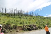 123 - Jasper to Sun Peaks - IMG_1369